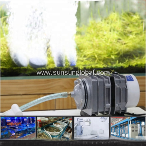 Small Size Air Pump Sunsun Electric Magnetic Air Pump Aco Series Supplier